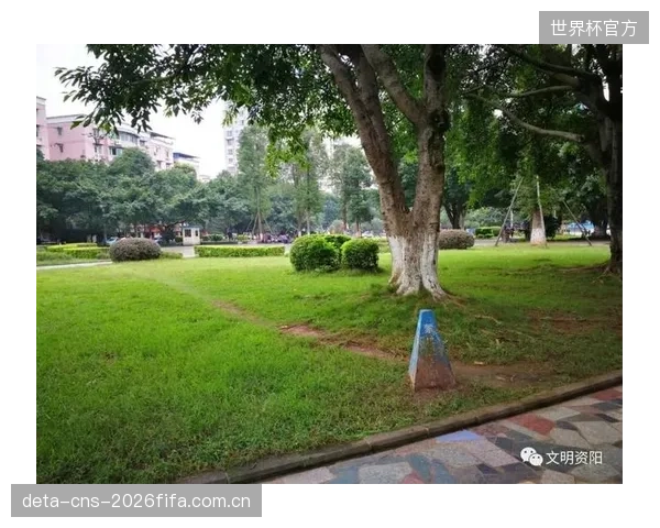 过分追求媒体曝光量,让许多体育公益项目的设计初衷发生了偏移 过分追求媒体曝光量,让许多体育公益项目的设计初衷发生了偏移